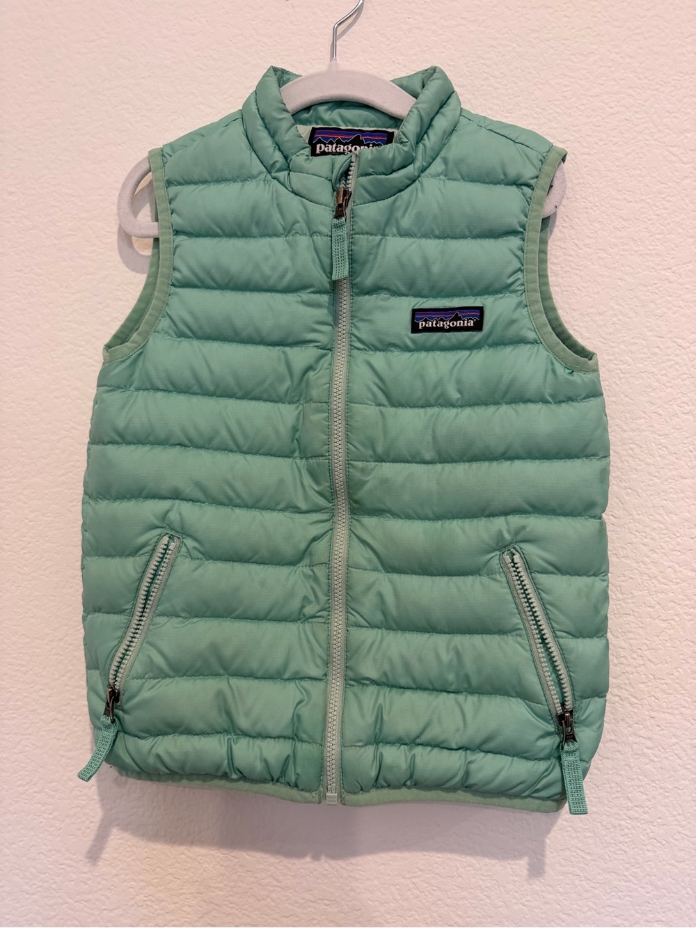 Patagonia kids down vest